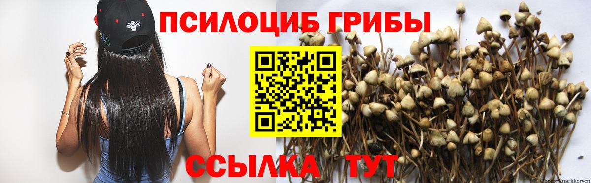 Донской  Псилоцибиновые грибы мухоморы  магазин продажи наркотиков  Вход с VPN 