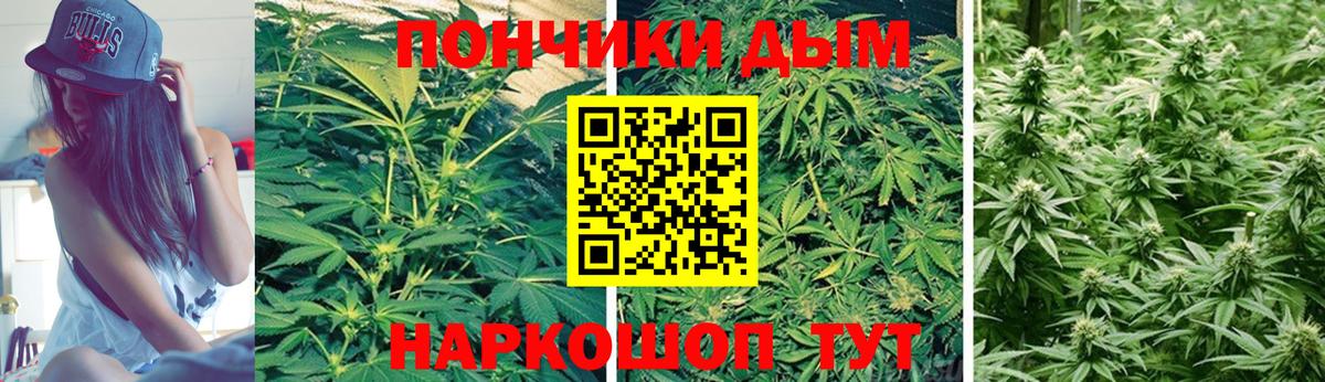 Канабис ГИДРОПОН  Марихуана гибрид  Вход с VPN  Конопля ГИДРОПОН  Донской 